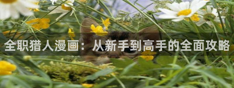 yy漫画登录页面免费漫画在线登：全职猎人漫画：从新手到高手的全面攻略
