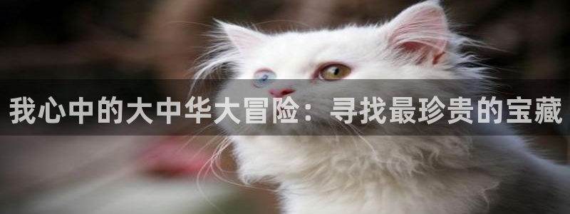 yy漫画www：我心中的大中华大冒险：寻找最珍贵的宝藏