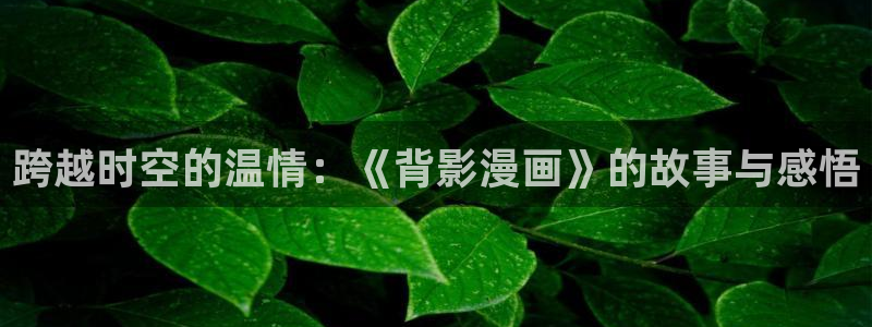 yy漫画免费看全集：跨越时空的温情：《背影漫画》的故事与感悟