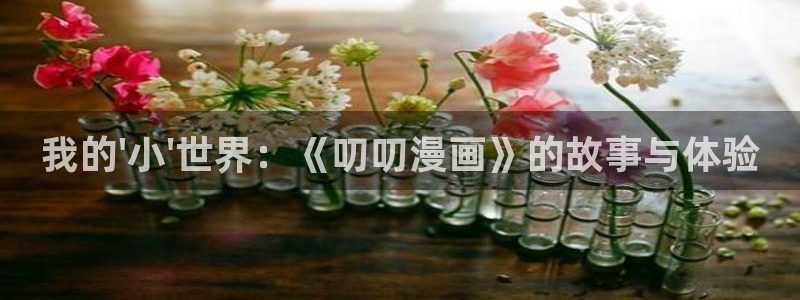 yy漫画网页版：我的\'小\'世界：《叨叨漫画》的故事与体验