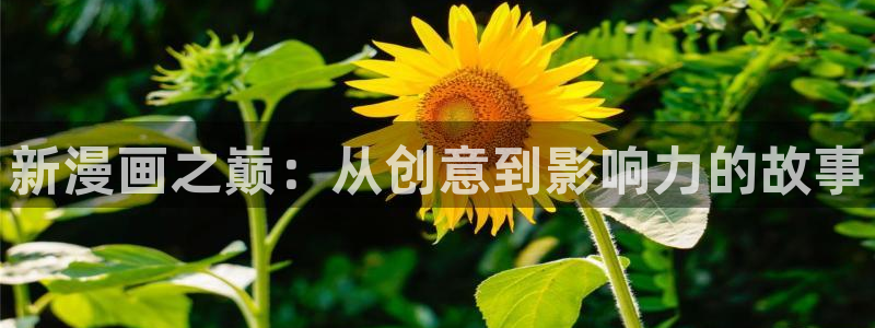 日韩yy漫画：新漫画之巅：从创意到影响力的故事