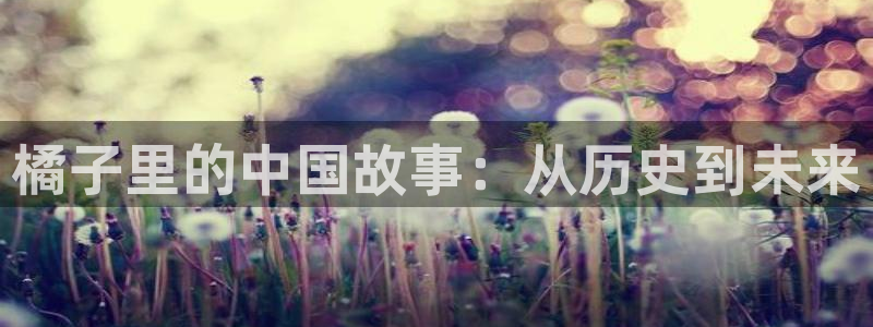 yy漫画免费看：橘子里的中国故事：从历史到未来