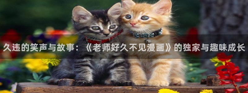 日本yy漫画：久违的笑声与故事：《老师好久不见漫画》的独家与趣味成长