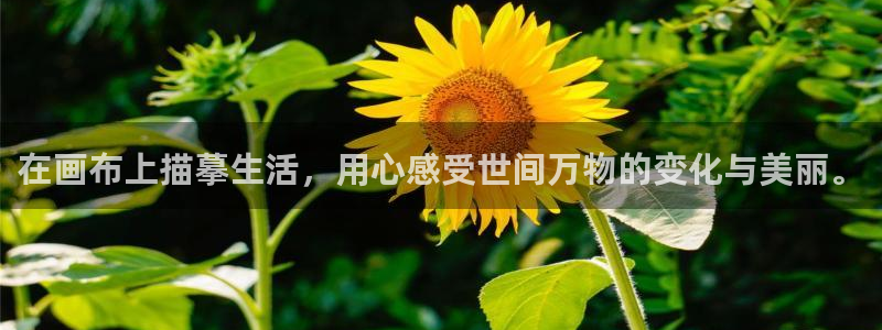 yy漫画在线观看入口