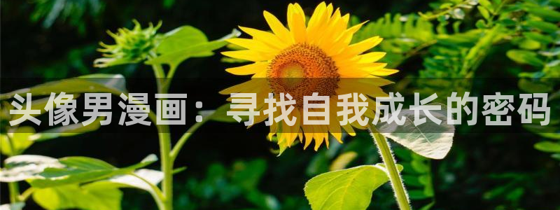 yy漫画韩国免费：头像男漫画：寻找自我成长的密码