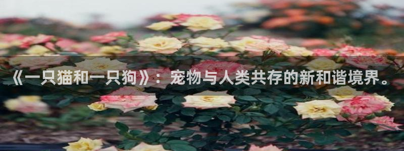 yy漫画免费观看入口：《一只猫和一只狗》：宠物与人类共存的新和谐境界。