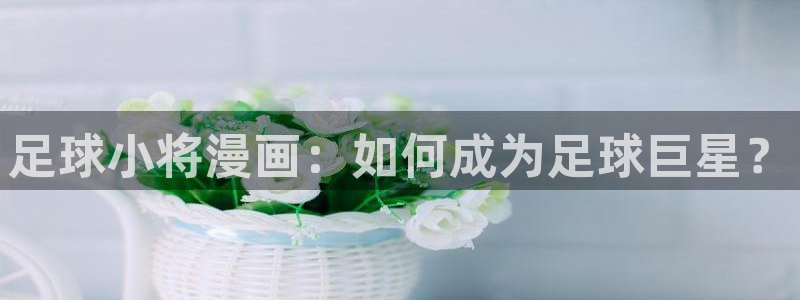 在线观看yy漫画：足球小将漫画：如何成为足球巨星？