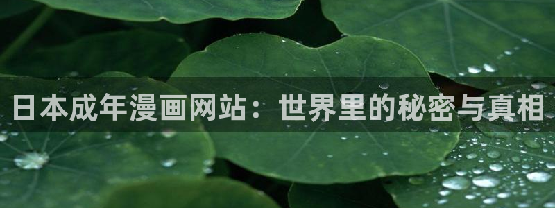 yy漫画免费登录入口：日本成年漫画网站：世界里的秘密与真相