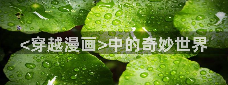 日韩yy漫画：<穿越漫画>中的奇妙世界