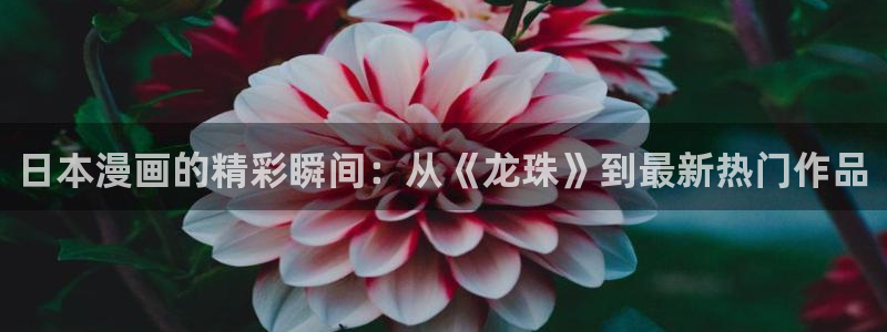 yy漫画免费漫画入口：日本漫画的精彩瞬间：从《龙珠》到最新热门作品