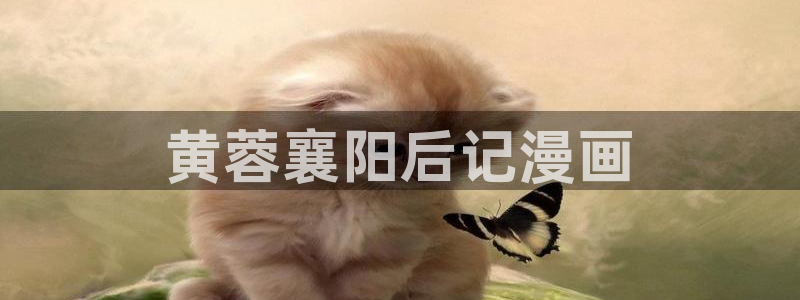 yy漫画免费看：黄蓉襄阳后记漫画