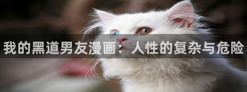yy漫画网页登录入口：我的黑道男友漫画：人性的复杂与危险