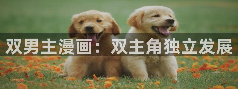 yy漫画视频：双男主漫画：双主角独立发展