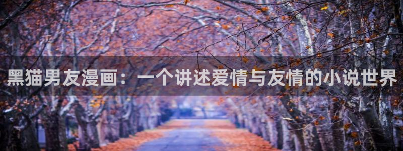 yy漫画在线观看.：黑猫男友漫画：一个讲述爱情与友情的小说世界