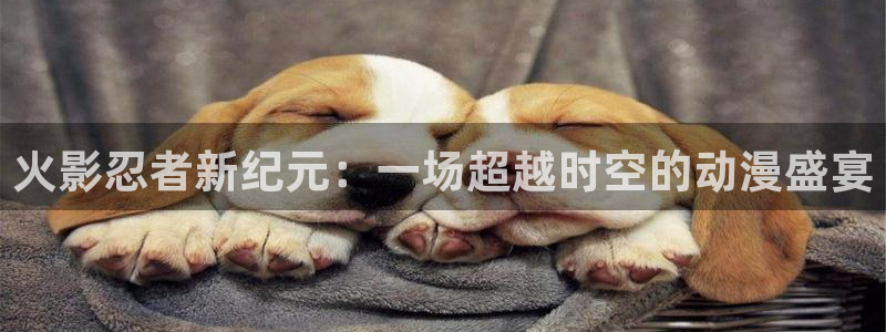 yy漫画下拉式：火影忍者新纪元：一场超越时空的动漫盛宴