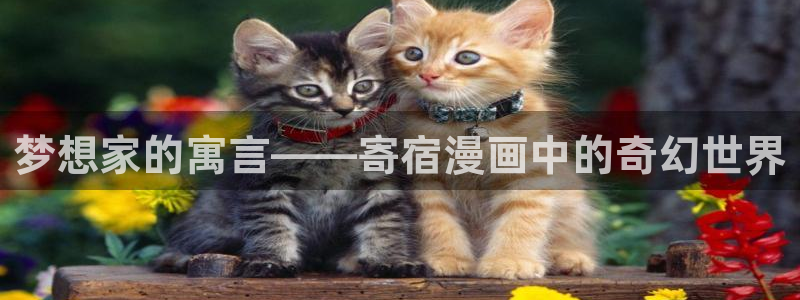 原神yy漫画：梦想家的寓言——寄宿漫画中的奇幻世界