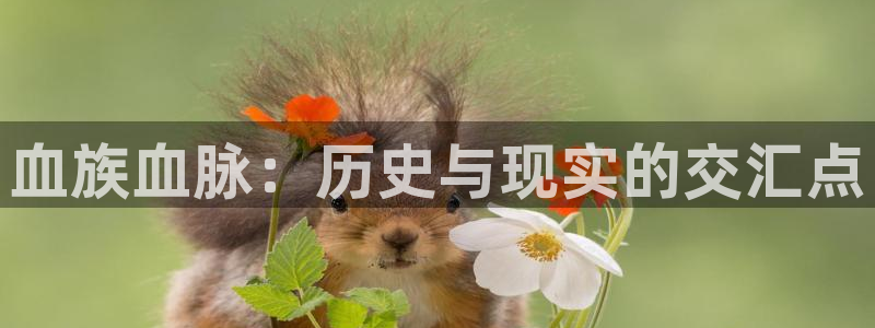 yy漫画免费观看：血族血脉：历史与现实的交汇点