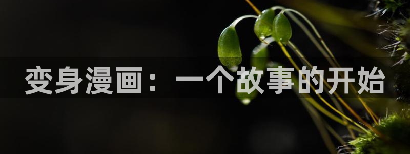 日本漫画yy漫画在线观看：变身漫画：一个故事的开始