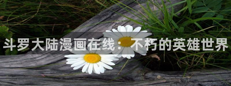yy漫画在线首页：斗罗大陆漫画在线：不朽的英雄世界